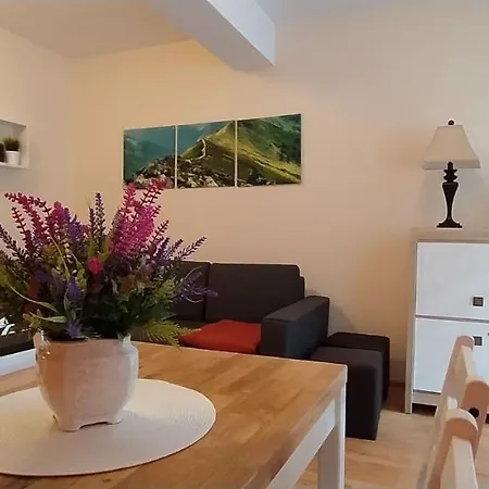 Apartament Akuratny Zakopane-3
